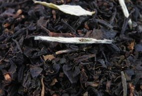 ThÃ© Grand Earl Grey Pointe Or