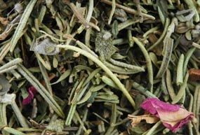Tisane des trolls