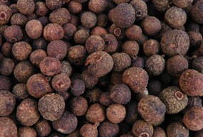 Piment de JamaÃ¯que - Bois D'Inde