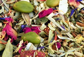 Tisane Fou de curcuma !