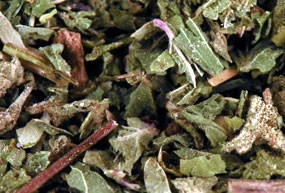 Tisane Vocalise