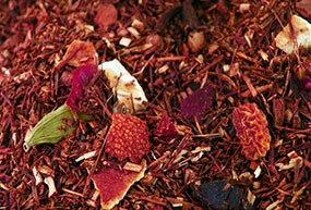 Rooibos du PÃ¨re NoÃ«l
